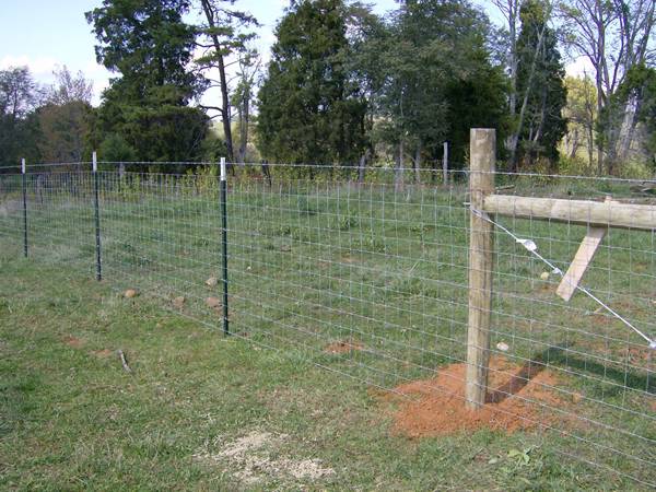 A line of hinge joint knot fence is installed with T posts.